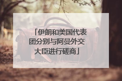伊朗和美国代表团分别与阿曼外交大臣进行磋商
