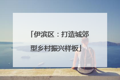 伊滨区：打造城郊型乡村振兴样板