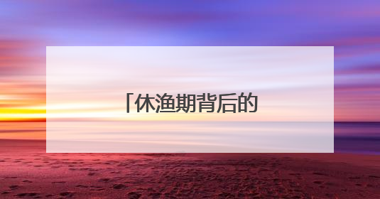 休渔期背后的电力守护者