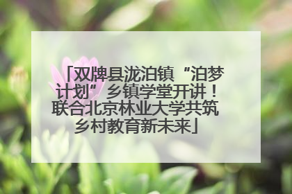双牌县泷泊镇“泊梦计划”乡镇学堂开讲！联合北京林业大学共筑乡村教育新未来