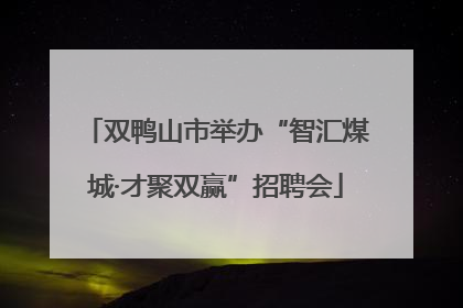 双鸭山市举办“智汇煤城·才聚双赢”招聘会