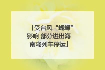 受台风“蝴蝶”影响 部分进出海南岛列车停运
