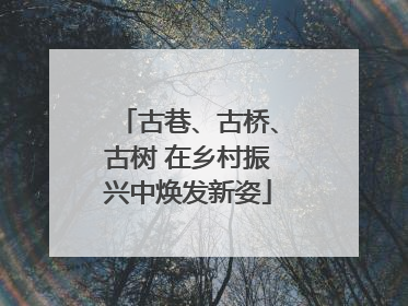 古巷、古桥、古树 在乡村振兴中焕发新姿