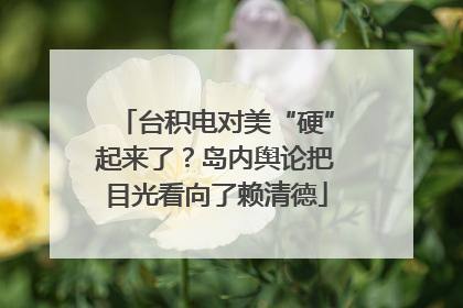 台积电对美“硬”起来了？岛内舆论把目光看向了赖清德