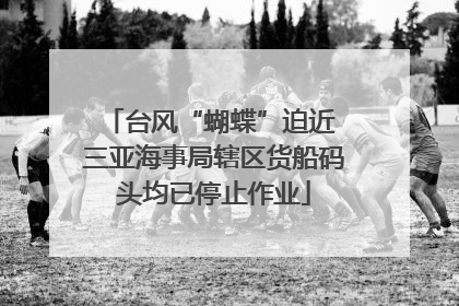 台风“蝴蝶”迫近 三亚海事局辖区货船码头均已停止作业