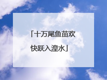 十万尾鱼苗欢快跃入湟水