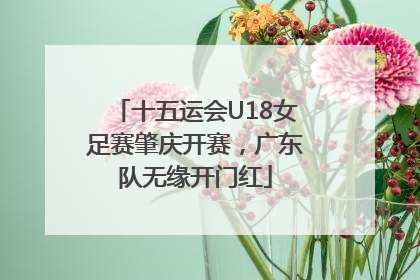 十五运会U18女足赛肇庆开赛，广东队无缘开门红