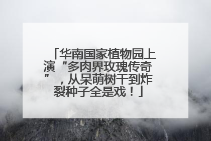 华南国家植物园上演“多肉界玫瑰传奇”，从呆萌树干到炸裂种子全是戏！