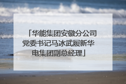 华能集团安徽分公司党委书记马冰武履新华电集团副总经理