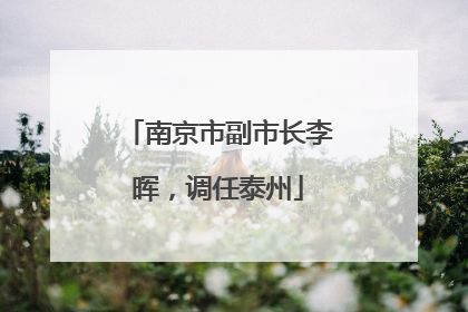 南京市副市长李晖，调任泰州