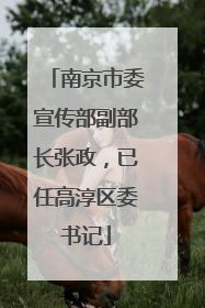 南京市委宣传部副部长张政，已任高淳区委书记