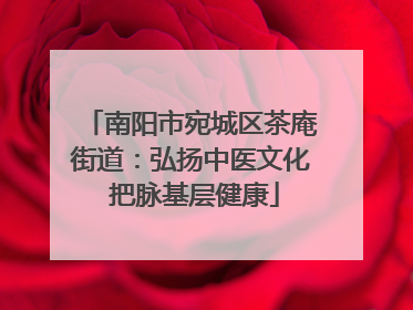 南阳市宛城区茶庵街道：弘扬中医文化 把脉基层健康