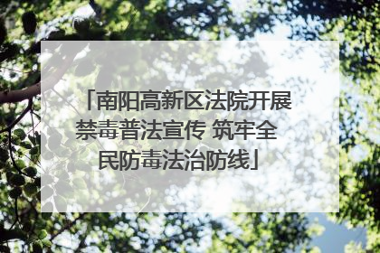 南阳高新区法院开展禁毒普法宣传 筑牢全民防毒法治防线