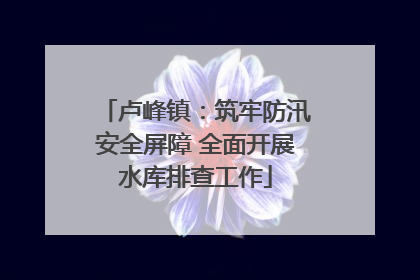 卢峰镇：筑牢防汛安全屏障 全面开展水库排查工作