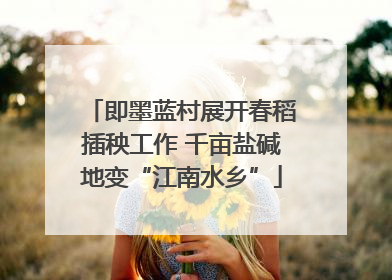 即墨蓝村展开春稻插秧工作 千亩盐碱地变“江南水乡”