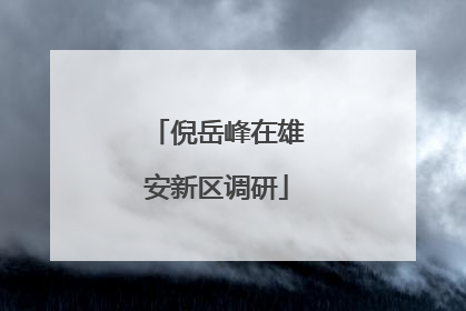 倪岳峰在雄安新区调研