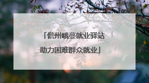 儋州峨蔓就业驿站助力困难群众就业