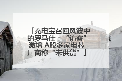 充电宝召回风波中的罗马仕：“访客”激增 A股多家电芯厂商称“未供货”