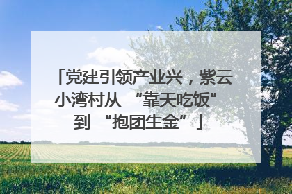 党建引领产业兴，紫云小湾村从 “靠天吃饭” 到 “抱团生金”