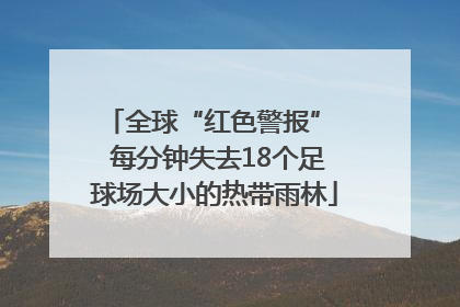全球“红色警报”  每分钟失去18个足球场大小的热带雨林