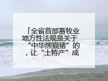 全省首部畜牧业地方性法规是关于“中华熊猫猪”的，让“土特产”成为“新国潮”，让“农产品”升格为“城市IP”