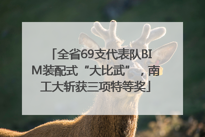 全省69支代表队BIM装配式“大比武”，南工大斩获三项特等奖