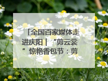 全国百家媒体走进庆阳｜“剪云裳”惊艳香包节：剪纸跃上华服 非遗焕发新彩