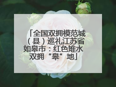全国双拥模范城（县）巡礼江苏省如皋市：红色雉水双拥“皋”地