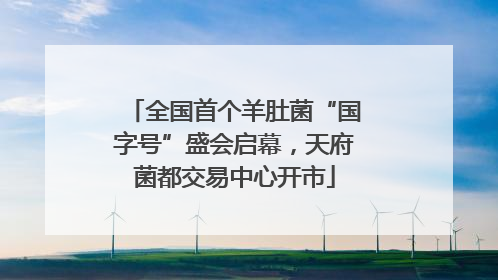 全国首个羊肚菌“国字号”盛会启幕，天府菌都交易中心开市