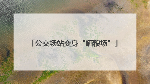 公交场站变身“晒粮场”