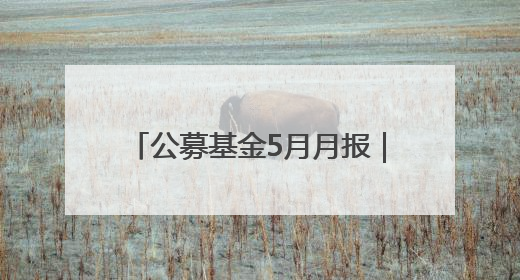 公募基金5月月报｜发生了什么？基金业绩榜变化这么大！