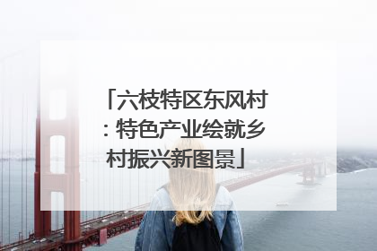 六枝特区东风村：特色产业绘就乡村振兴新图景