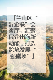兰山区“沂企联”会客厅：汇聚民企出海新动能，打造跨境发展“强磁场”