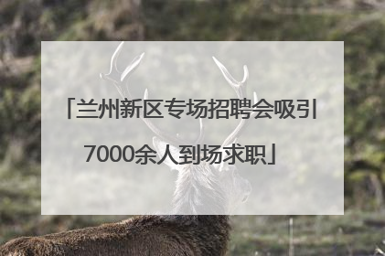 兰州新区专场招聘会吸引7000余人到场求职