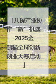 共探产业协作“新”机遇 2025金熊猫全球创新创业大赛启动