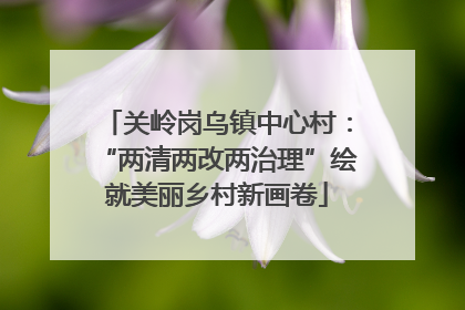 关岭岗乌镇中心村：“两清两改两治理”绘就美丽乡村新画卷