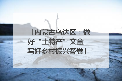 内蒙古乌达区：做好“土特产”文章 写好乡村振兴答卷