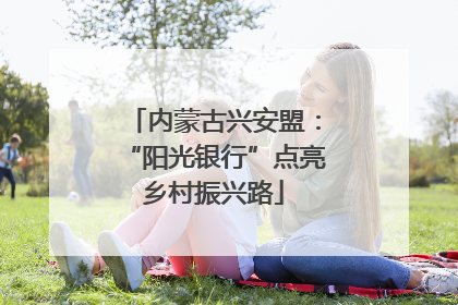 内蒙古兴安盟：“阳光银行”点亮乡村振兴路