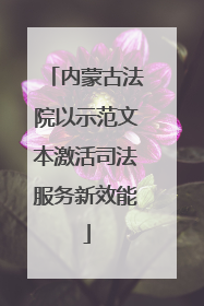 内蒙古法院以示范文本激活司法服务新效能