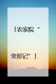 农家院“变形记”
