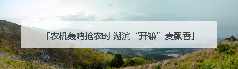 农机轰鸣抢农时 湖滨“开镰”麦飘香