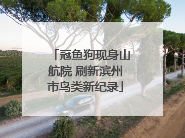 冠鱼狗现身山航院 刷新滨州市鸟类新纪录