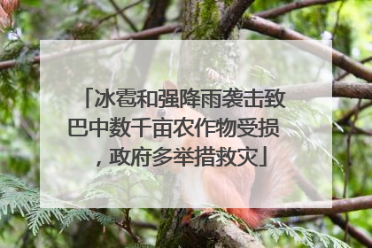 冰雹和强降雨袭击致巴中数千亩农作物受损，政府多举措救灾