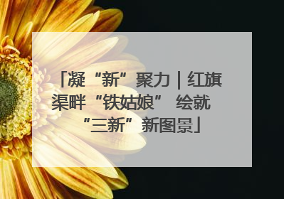 凝“新”聚力｜红旗渠畔“铁姑娘” 绘就“三新”新图景
