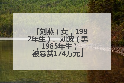 刘燕（女，1982年生）、刘波（男，1985年生），被悬赏174万元