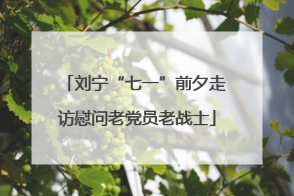 刘宁“七一”前夕走访慰问老党员老战士