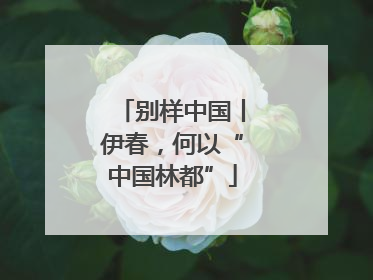 别样中国丨伊春，何以“中国林都”