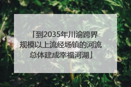 到2035年川渝跨界规模以上流经场镇的河流总体建成幸福河湖