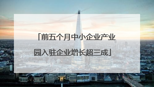 前五个月中小企业产业园入驻企业增长超三成