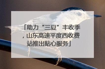 助力“三夏”丰收季，山东高速平度西收费站推出贴心服务